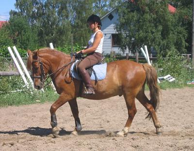 pisto6[1].jpg - Maarit ja Pisto